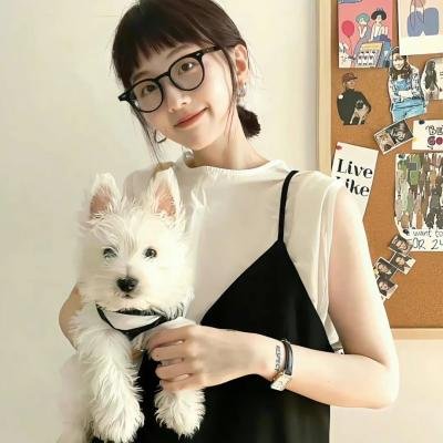 降龙传说